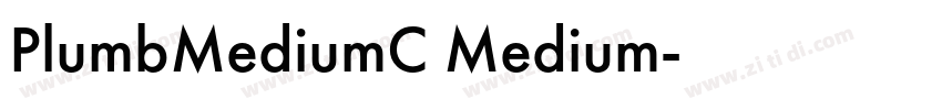PlumbMediumC Medium字体转换